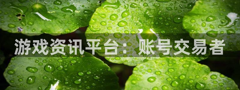 高德娱乐手机网页版登录：游戏资讯平台：账号交易者
