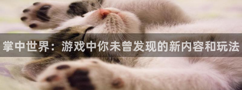 高德娱乐app下载：掌中世界：游戏中你未曾发现的新内容和玩法
