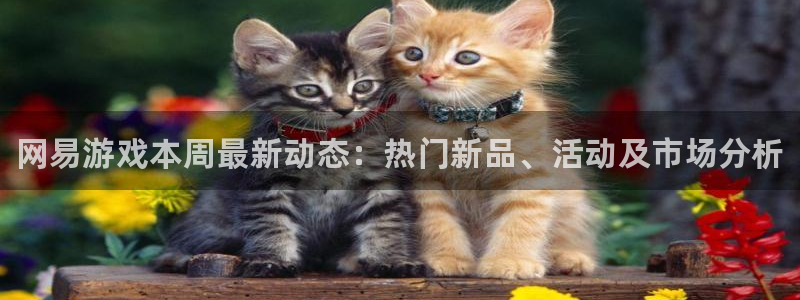 高德娱乐注册地址：网易游戏本周最新动态：热门新品、活动及市场