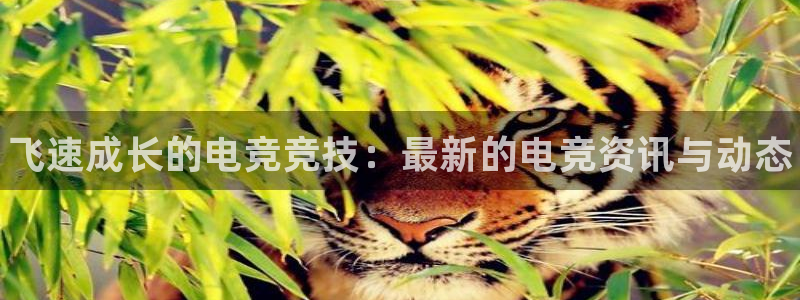 高德娱乐平台注册资金多少：飞速成长的电竞竞技：最新的电竞资讯