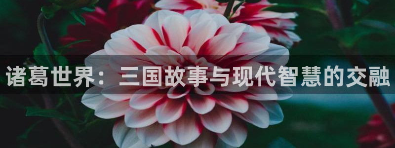 高德娱乐app下载