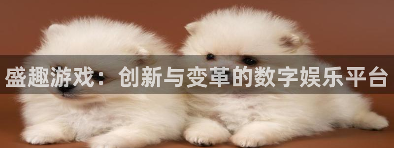 高德娱乐注册官方登录app：盛趣游戏：创新与变革的数字娱乐平