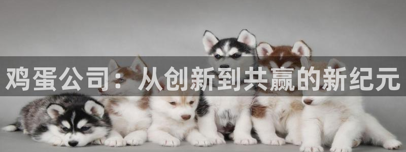 高德娱乐登录网址：鸡蛋公司：从创新到共赢的新纪元