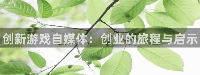 高德娱乐软件叫什么